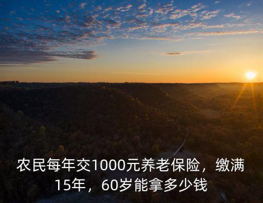 農民每年交1000元養老保險，繳滿15年，60歲能拿多少錢