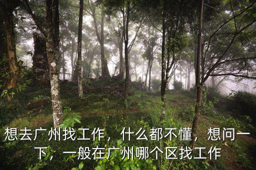 想去廣州找工作，什么都不懂，想問一下，一般在廣州哪個區(qū)找工作