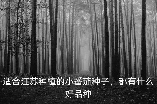 適合江蘇種植的小番茄種子，都有什么好品種