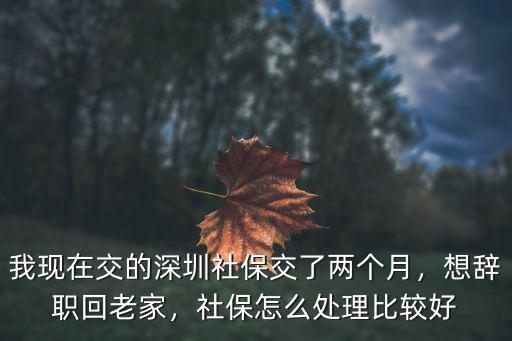 我現在交的深圳社保交了兩個月，想辭職回老家，社保怎么處理比較好
