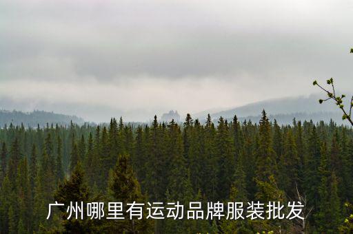 廣東運動裝哪里批發(fā),運動裝在廣州哪里有市場