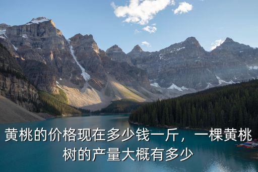臨沂黃桃多少錢一斤,五毛一斤沒(méi)人要
