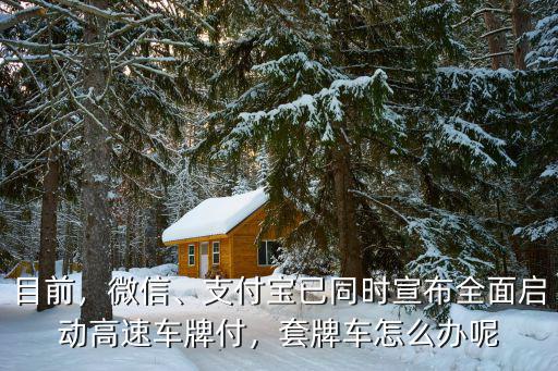 目前，微信、支付寶已同時宣布全面啟動高速車牌付，套牌車怎么辦呢