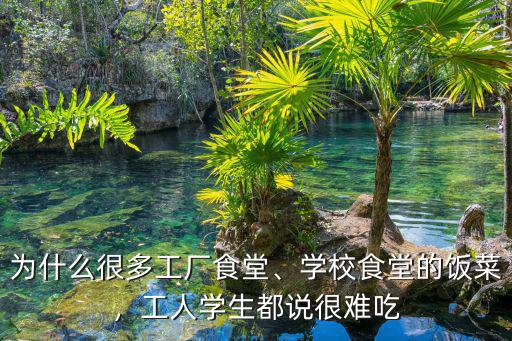 鹽城市的學(xué)校工人應(yīng)該燒多少學(xué)生飯,學(xué)校食堂的飯菜