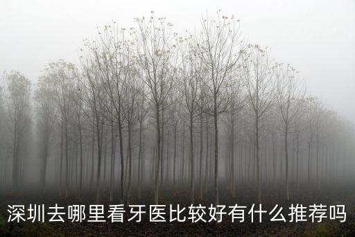 深圳去哪里看牙醫(yī)比較好有什么推薦嗎