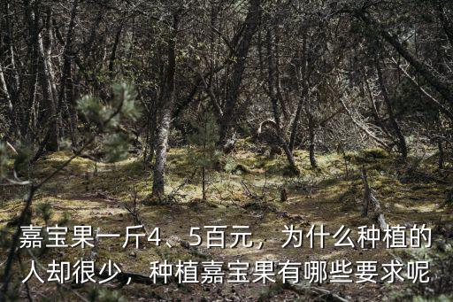 嘉寶果一斤4、5百元，為什么種植的人卻很少，種植嘉寶果有哪些要求呢
