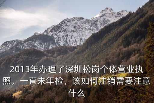 2013年辦理了深圳松崗個體營業執照，一直未年檢，該如何注銷需要注意什么