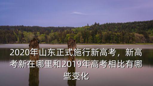 2019年山東高考理科生有多少人,2019山東理科考生多少人