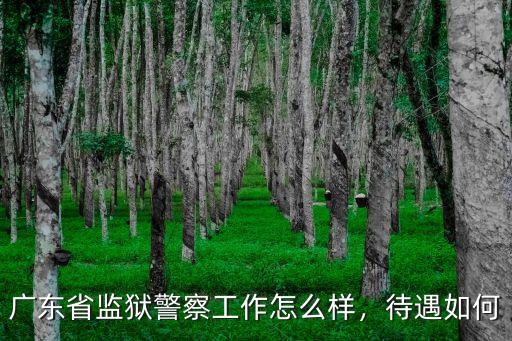 廣東歐柏工作怎么樣,廣東這個省份怎么樣