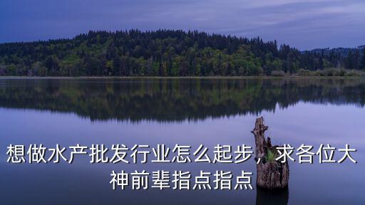 深圳水產批發怎么做,想做水產批發行業怎么起步