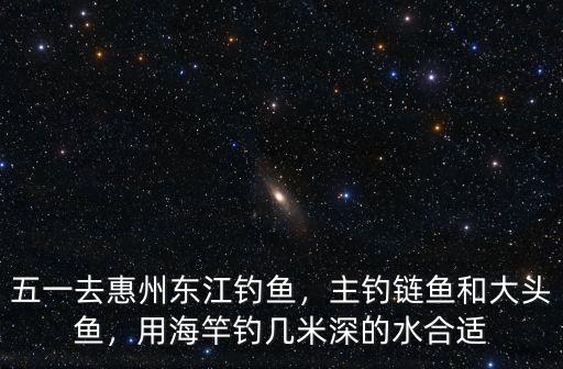 惠州東江釣鳊魚怎么釣,五一去惠州東江釣魚