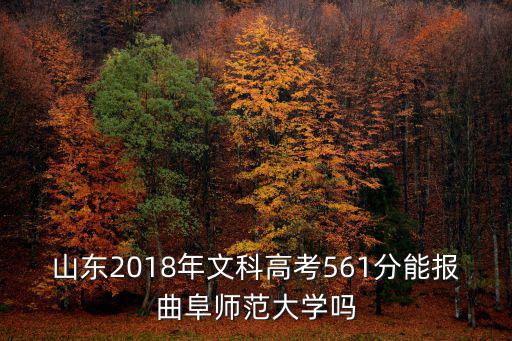 山東曲阜師范大學(xué)文科13年多少分,山東2019年的高考生
