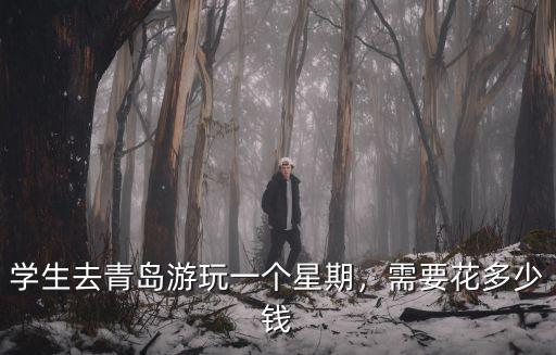 青島一個禮拜花多少錢,大致需花多少錢