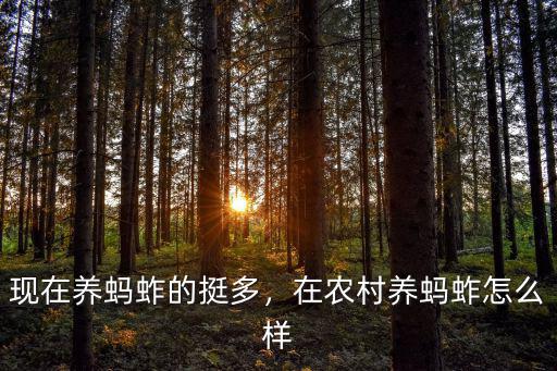山東有多少家養螞蚱的,現在養螞蚱的挺多