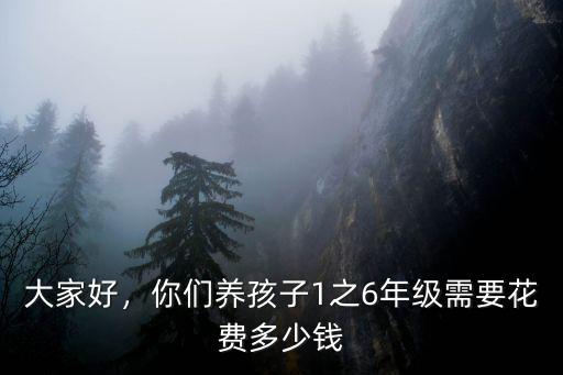 大家好，你們養孩子1之6年級需要花費多少錢