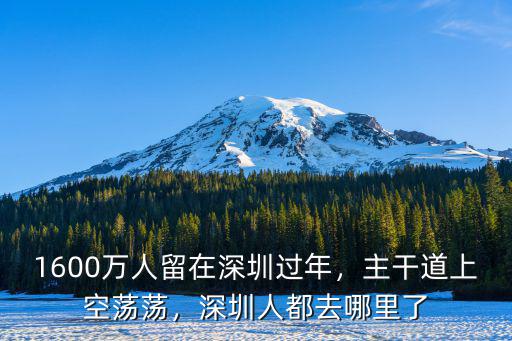 1600萬人留在深圳過年，主干道上空蕩蕩，深圳人都去哪里了