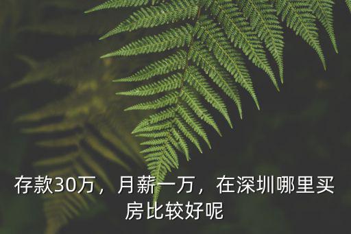 存款30萬，月薪一萬，在深圳哪里買房比較好呢