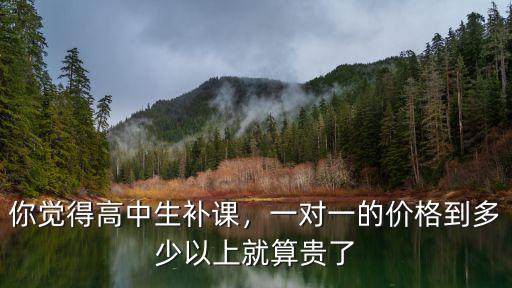 你覺得高中生補課，一對一的價格到多少以上就算貴了