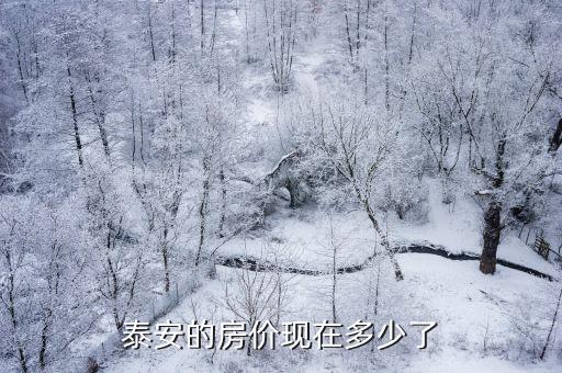 泰安的房價現在多少了