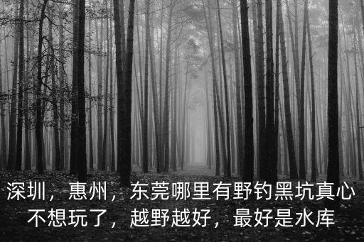 惠州野釣哪里環境好,惠州這時候怎么好釣魚