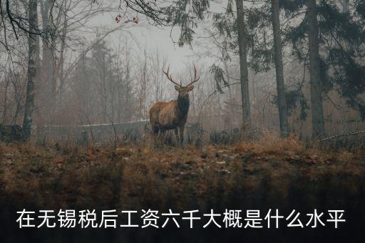 在無錫稅后工資六千大概是什么水平