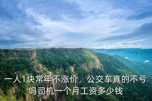 一人1塊常年不漲價，公交車真的不虧嗎司機一個月工資多少錢