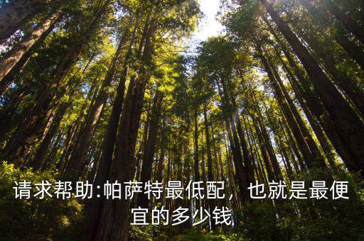帕薩特最便宜的多少錢溫州地區,請求幫助:帕薩特最低配