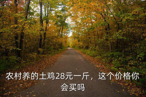 無錫土雞市場價格多少錢一斤,養(yǎng)500只大約能賺多少錢