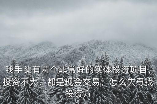 我手頭有兩個非常好的實體投資項目，投資不大，都是現金交易，怎么去尋找投資方