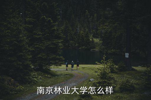 南京林業(yè)大學(xué)怎么樣
