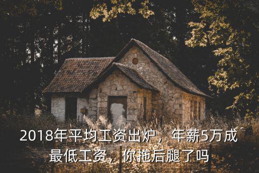 2018年南京在崗職工月平均工資是多少,年薪5萬成最低工資