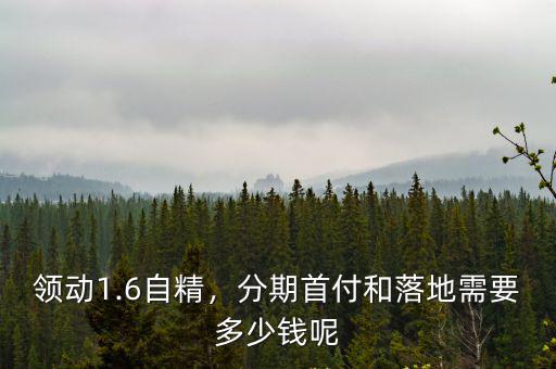蘇州領(lǐng)動(dòng)自精1.5價(jià)格多少,領(lǐng)動(dòng)1.6自精