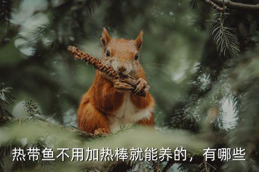 熱帶魚不用加熱棒就能養(yǎng)的，有哪些