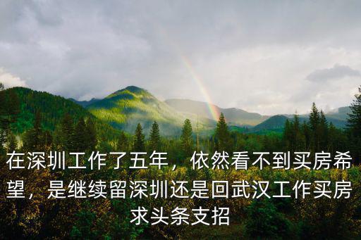 在深圳工作了五年，依然看不到買房希望，是繼續(xù)留深圳還是回武漢工作買房求頭條支招