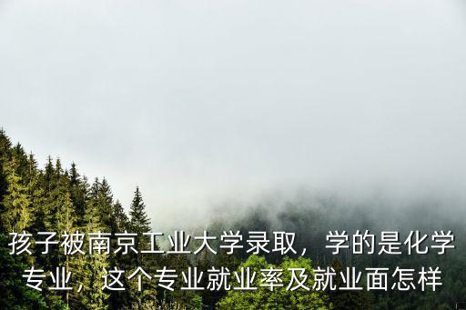 南京工業(yè)大學(xué)輕化工程就業(yè)率是多少,南京工業(yè)大學(xué)土木工程怎么樣