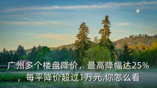 廣州多個樓盤降價，最高降幅達25%，每平降價超過1萬元,你怎么看