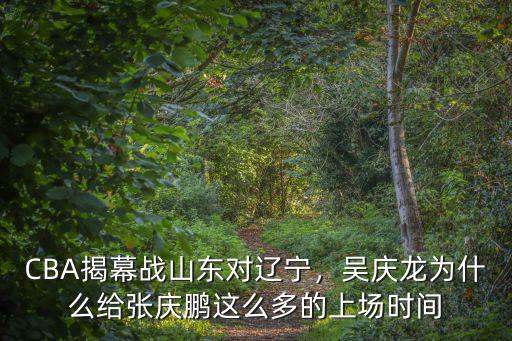 cba山東對遼寧比分是多少,CBA揭幕戰山東對遼寧
