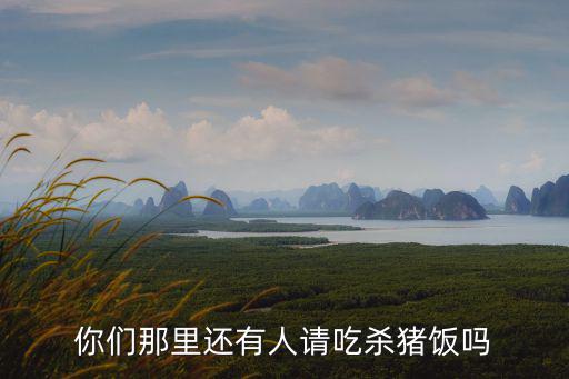 你們那里還有人請(qǐng)吃殺豬飯嗎