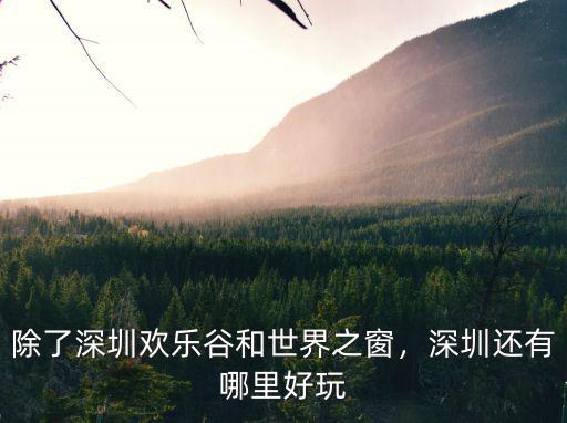 深圳歡樂谷世界之窗怎么樣,除了深圳歡樂谷和世界之窗