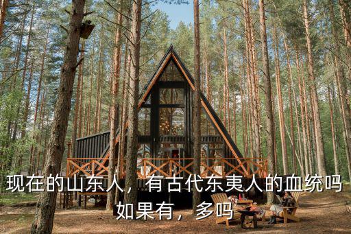 山東人后代有多少,現(xiàn)在的山東人
