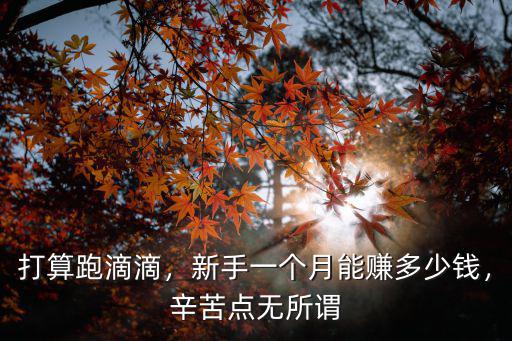 蘇州跑滴滴一個(gè)月能賺多少錢,蘇州跑滴滴賺錢嗎