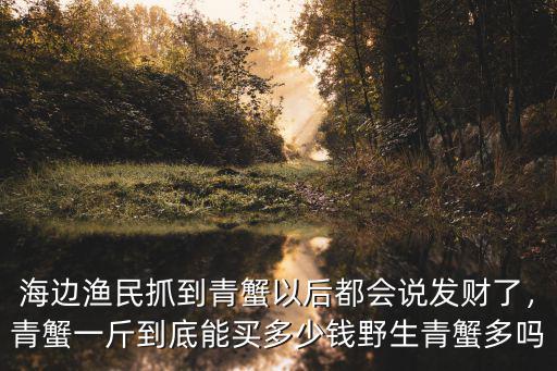 鹽城市東臺青蟹多少錢一斤,青蟹一斤到底能買多少錢