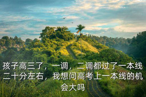 孩子高三了，一調(diào)，二調(diào)都過了一本線二十分左右，我想問高考上一本線的機(jī)會(huì)大嗎