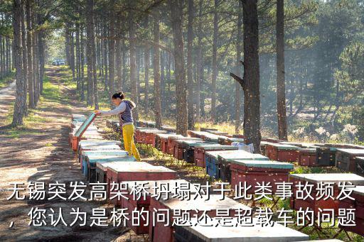無(wú)錫突發(fā)高架橋坍塌對(duì)于此類(lèi)事故頻發(fā)，您認(rèn)為是橋的問(wèn)題還是超載車(chē)的問(wèn)題
