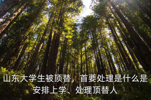 山東有多少人被頂替的,山東頂替上大學(xué)事件