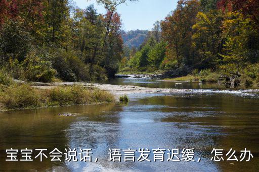 寶寶不會說話，語言發(fā)育遲緩，怎么辦