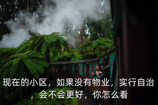 南京有多少沒有物業自治小區,如果沒有物業