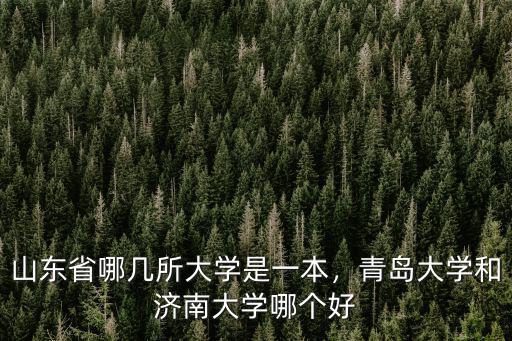 濟(jì)南大學(xué)山東省排名多少,濟(jì)南大學(xué)認(rèn)可度咋樣