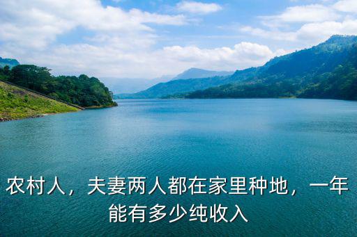 農(nóng)村人，夫妻兩人都在家里種地，一年能有多少純收入