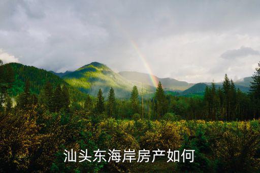 汕頭東海岸有多少項目,汕頭東海岸能有大發展嗎